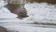 Balocco: grandine che sembra neve
