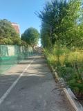 Vercelli viale Garibaldi