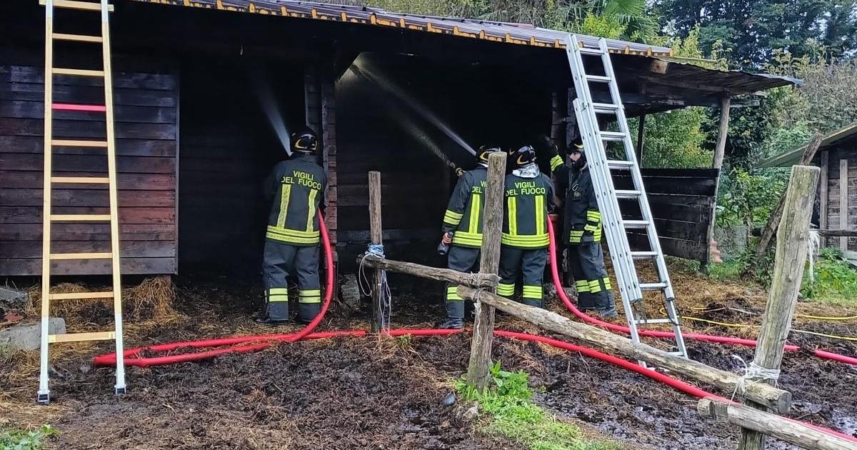 Roppolo: incendio ai box di un maneggio - La Sesia