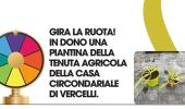 Gira la ruota! In dono una piantina della tenuta agricola della Casa circondariale di Vercelli