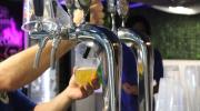 Festa Patronale di Trino, un successo tra tradizione e cultura (FOTO GALLERY)