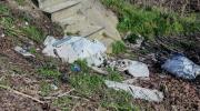 Ancora immondizia sull'argine del Sesia