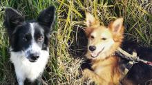 Lupin e Mars