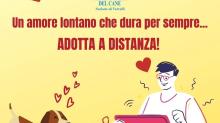 Manifesto canile Borgo Vercelli