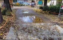 Vercelli, viale Garibaldi: a spasso tra pozzanghere e foglie