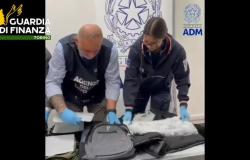 Sequestrati 9 chilogrammi di cocaina all’aeroporto "Pertini" di Torino