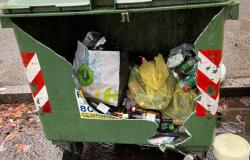 Vercelli: "Cassonetto rotto, perchè gli operatori non lo segnalano?"