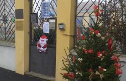 In adozione gli abeti addobbati per Natale