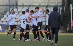 Pro Vercelli: Zerbin sontuoso e devastante