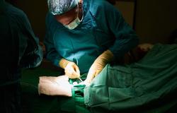 Donazione organi: Piemonte la prima grande regione a coprire tutti i Comuni
