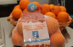Trino, Airc: salta l'iniziativa 'arance della ricerca'