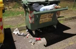 Vercelli: "Escrementi di cani e un bidone distrutto"