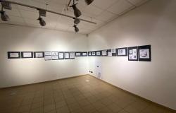 In mostra a Biella '72 balene e altri animali'