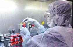 Oms: "Confermiamo che l'origine del Coronavirus è animale"