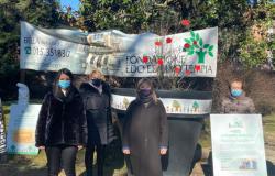Un melograno nel giardino Tempia, in sostegno ai bambini malati