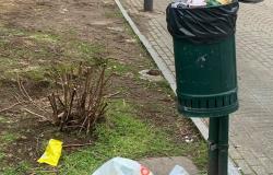 Giro di vite contro chi sporca i giardini