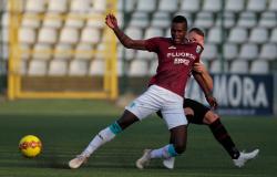 Pro Vercelli: Auriletto impeccabile