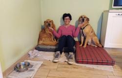 Confucio e Didone a casa, insieme