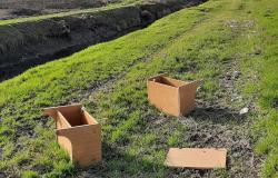 "Troppi rifiuti abbandonati tra i Cappuccini e Prarolo"