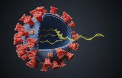 L'uomo contagiato da variante sudafricana era già stato vaccinato