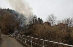Incendio dalla cenere di una stufa a legna  gettata tra le sterpaglie