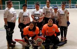 Pro Vercelli Trino: Valdagno troppo forte