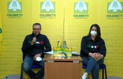 Il riso risponde alle nuove sfide dell'agricoltura europea