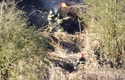 Pericoloso incendio di sterpaglie a San Genuario