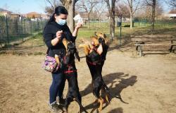 Le buone notizie