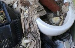 Domenica 18 aprile si raccolgono i rifiuti nei boschi