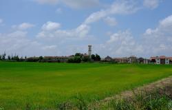 Larizzate e un misterioso risotto