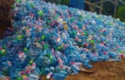 Fiume Sesia: analisi campioni nei laboratori dell’Università di Milano