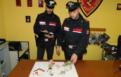 Ha addosso sei dosi di cocaina e un coltello: arrestato