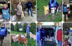 "Diamo aiuti alimentari per gli animali delle famiglie in difficoltà"