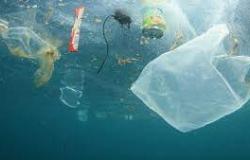 Carte di snack, bottiglie, cavi elettrici, borse di plastica e uno sci