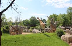Biglietto gratuito per il parco Zoom per 135 scuole vercellesi