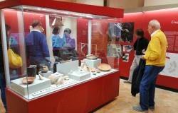 Museo del territorio: la cultura del genius loci