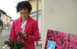 Le azalee dell'Airc a Motta de' Conti
