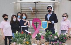 Rotaract Club Vercelli al fianco della Lilt