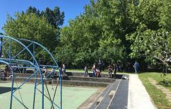 Al Bosco Parco della Pertini interventi di rivegetazione