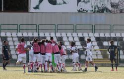 Duri, cinici e pronti a lottare contro tutti