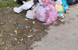 "Questa è la situazione in via Cena e via Egitto"