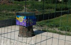 Vercelli: inaugurata l'Oasi delle api nella casa circondariale