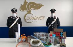 Laboratorio di trasformazione della cannabis: arrestati due italiani