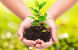 Benessere e salute dipendono da come trattiamo le risorse 
