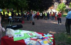 La scuola in testa la scuola in festa