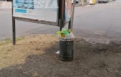 Vercelli: "Erbacce, cestini a terra e tombini rotti" - La fotogallery