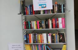 La Biblioteca civica approda alla piscina ex Enal
