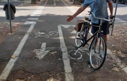 Viale Rimembranza: "Troppe buche e radici sulla pista ciclabile"