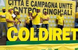 Protesta contro i cinghiali a Torino